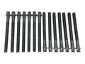 SBC R/F 1.600in Exhaust Valve