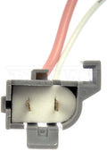 SOCKET GGRAYCOIL SOCKE
