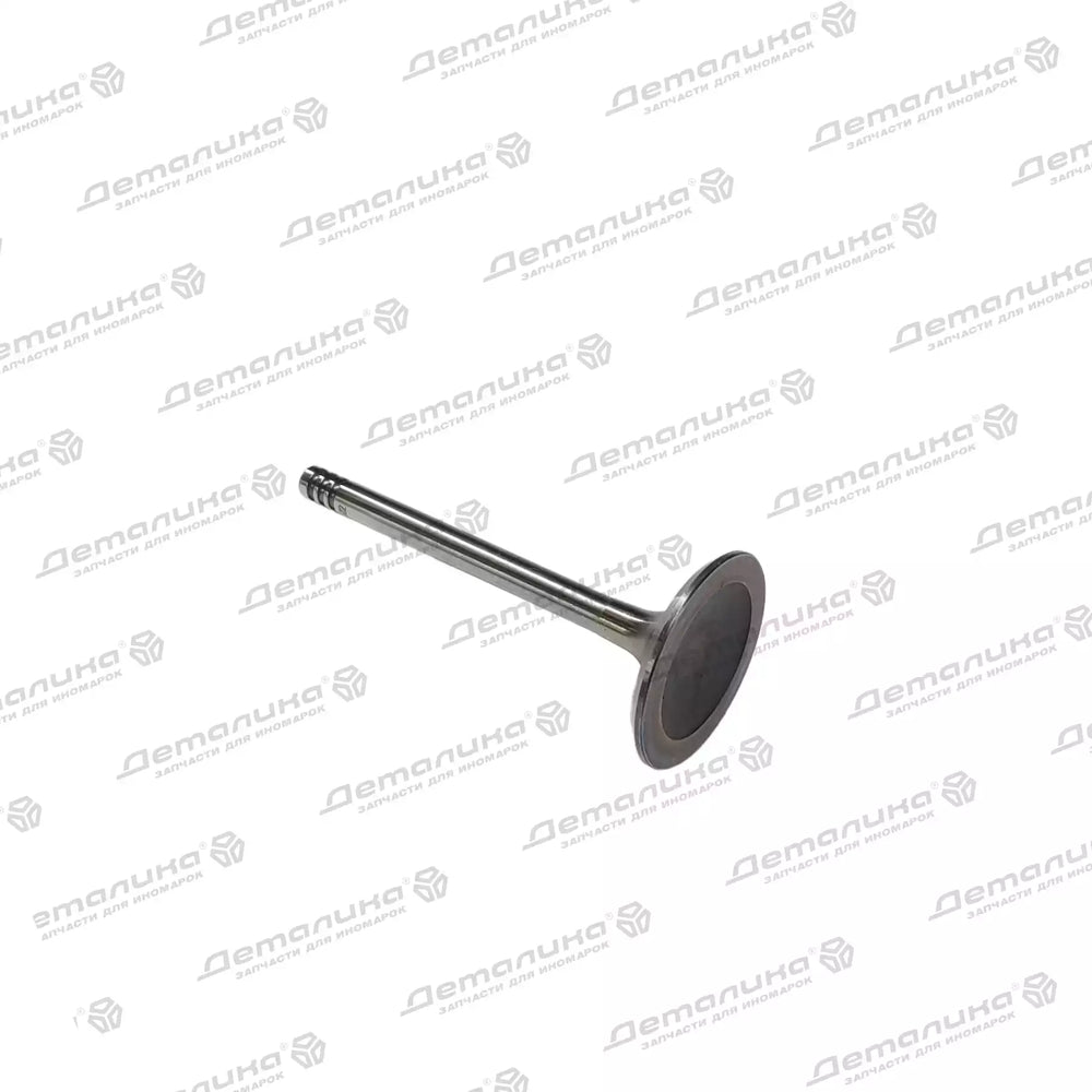 INTAKE VALVE