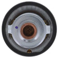 MOTORAD auto part detail