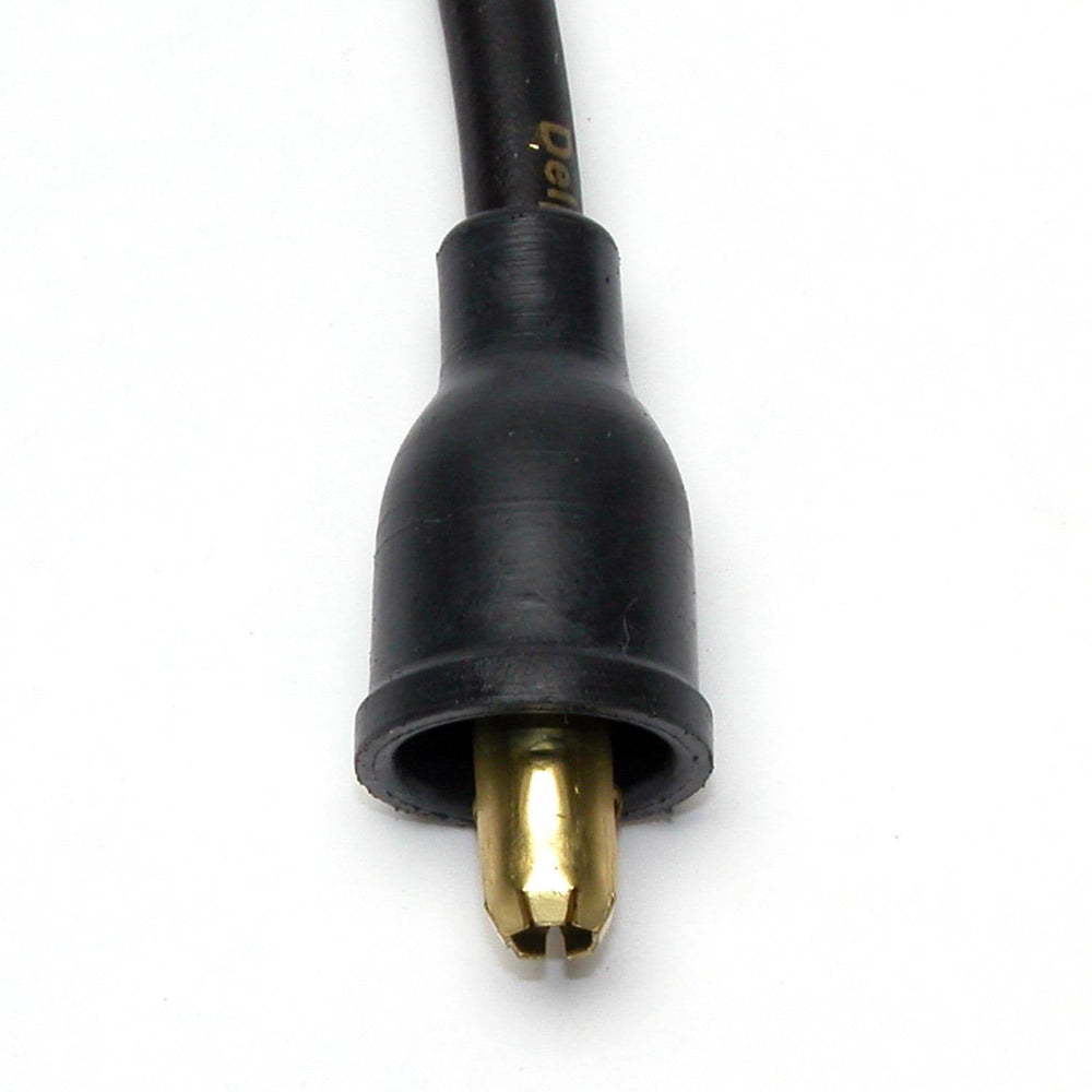 DELPHI auto part