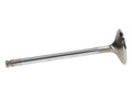 Manley VALVE-FD 6.2L R/M 42mm B/L EA