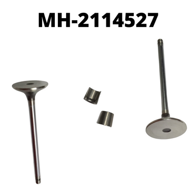 Mahle exhaust