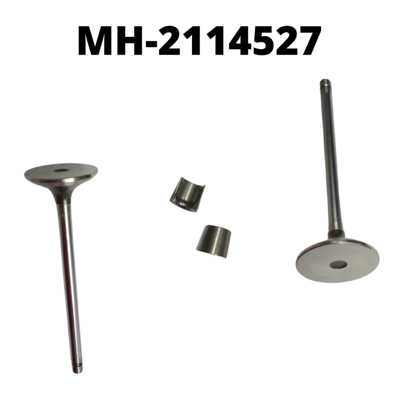 Mahle exhaust