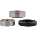 Pivot Works Suzuki Wheel Bearing Kit Premium Bearings