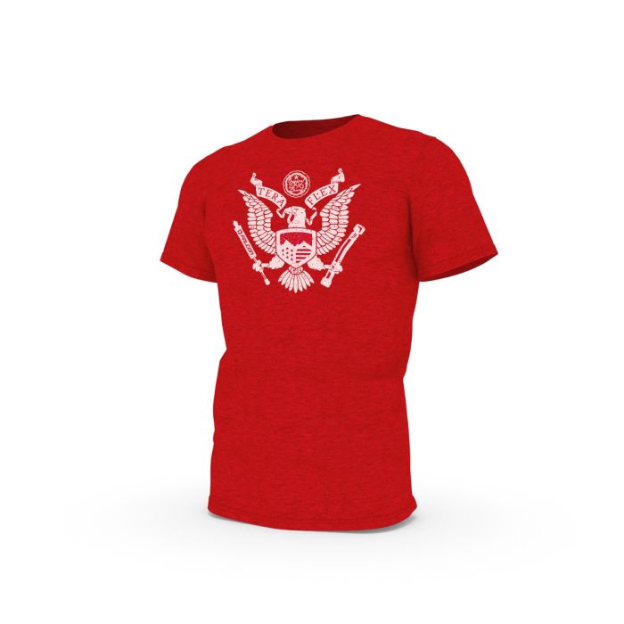 Mens Great Seal of TeraFlex T-Shirt w Distressed Americanized Graphic - Large