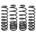 Raptor Series Off-Road - 170118-467000