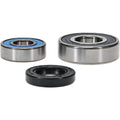 Pivot Works Polaris, Suzuki Wheel Bearing Kit Premium Bearings