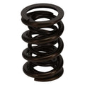 Manley SPRING-1.650 DOUBLE EA