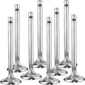 Manley Ford Coyote 5.0L DOHC 4 Valve 37mm Triple Groove Race Master Intake Valves - Single
