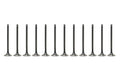 Supertech Nissan VQ37VHR Black Nitrided Intake Valve - +1mm Oversize - Single (Drop Ship Only)