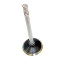 Standard Exhaust Valve for Jeep 99-07 Grand Cherokee, 06-07 Commander w/ 4.7L Crown Automotive