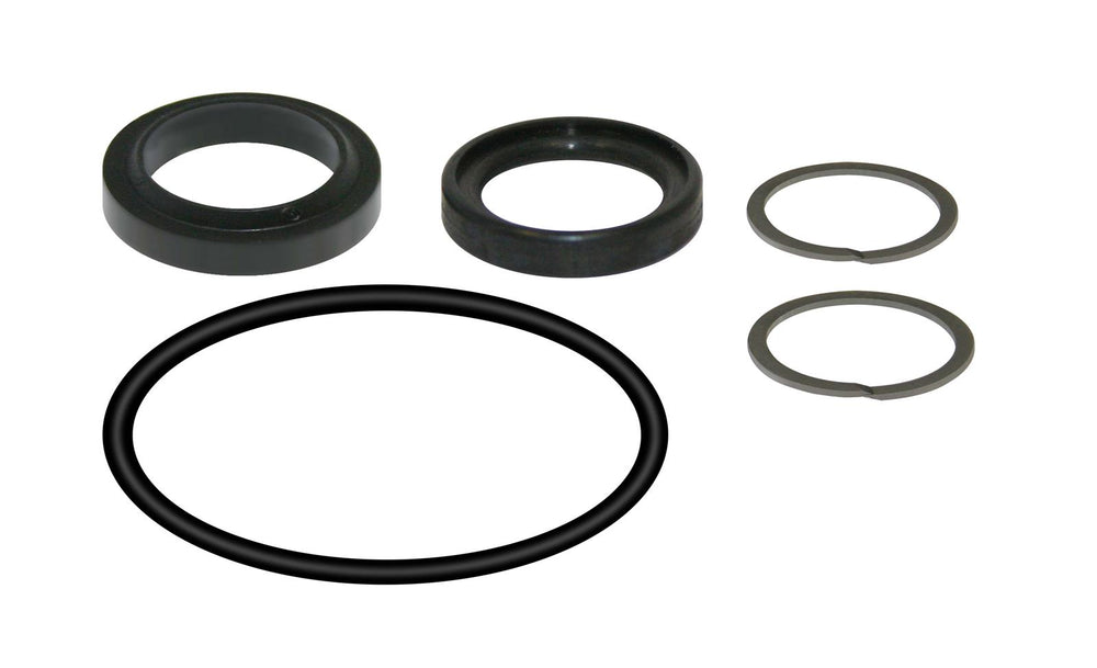 REPL. SEALS FOR 80000100 RG