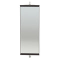 DISP MIRROR BLK STD-CS 6