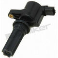 Walker Products Inc. - auto part