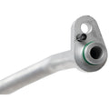 HOSE ASSEMBLY