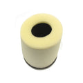 Athena 04-10 Suzuki LT-Z 250 QuadSport Air Filter