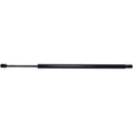LIFTGATE LIFT SUPPORT