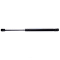 BACK GLASS LIFT SUPPORT
