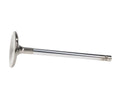 Manley VALVE-SB CHRY R/M 1.600 EA