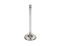 Manley VALVE-SB CHRY R/M 1.600 EA