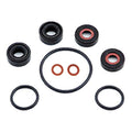 LOWER UNIT SEAL KIT