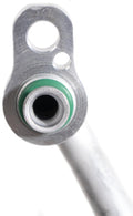 HOSE ASSEMBLY