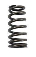 COMP Cams Valve Spring Ford 4.6L 2 Valve