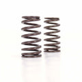COMP Cams Valve Spring Ford 4.6L 2 Valve