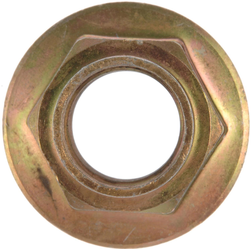 NUT;M201.5