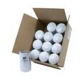 FUEL FILTER MASTER MIN ORDER QTY12