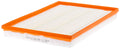 Fram air filter detail