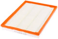 Fram air filter