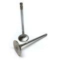 Brian Crower Honda F20C/F22C 36mm Intake Valve (Single Valve)
