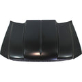 TRUNK LID LIFT / HOOD LIFT SUPPORT