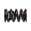 1.640 Dual Valve Spring
