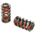 1.270 Valve Spring Hydraulic Roller Cam