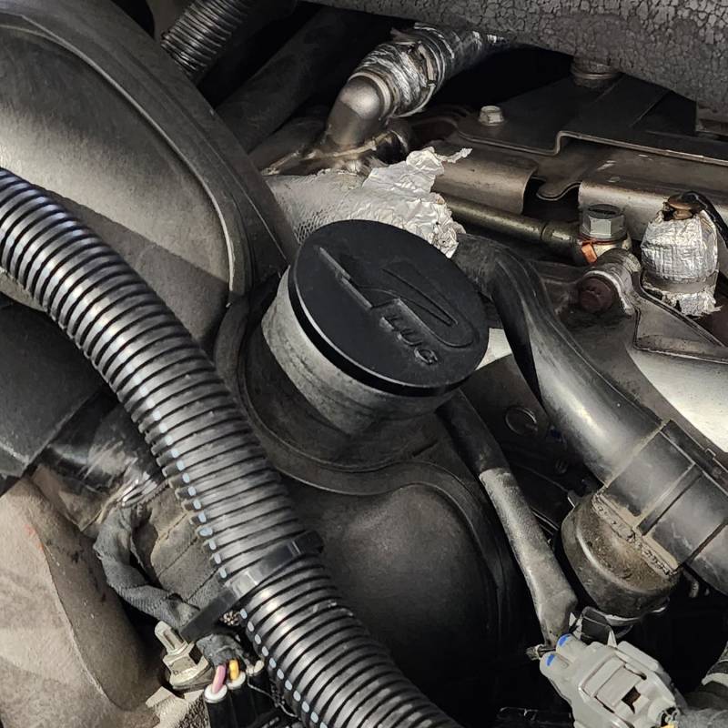 Plug Resonator Delete L5P Black