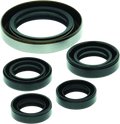 QuadBoss 06-07 Polaris Outlaw 500 Oil Seal Set