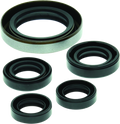 QuadBoss 06-07 Polaris Outlaw 500 Oil Seal Set