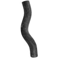 CURVED RADIATOR HOSE