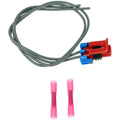 PIGTAIL OR SOCKET