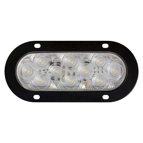 LED B/U LGT OVL AMP FLNG MNT 7.88'