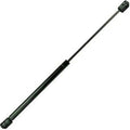 GAS SPRINGEXTENSION 20 COMPRESSION 11.42 110 LBS FORCE