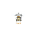 THERMOSTAT KIT