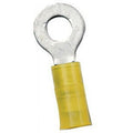 NYLON RING TERMINAL, 12-10 #10, 100