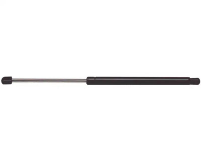 STRONG ARM strut brace