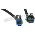 OXYGEN SENSOR WIRING HARNESS