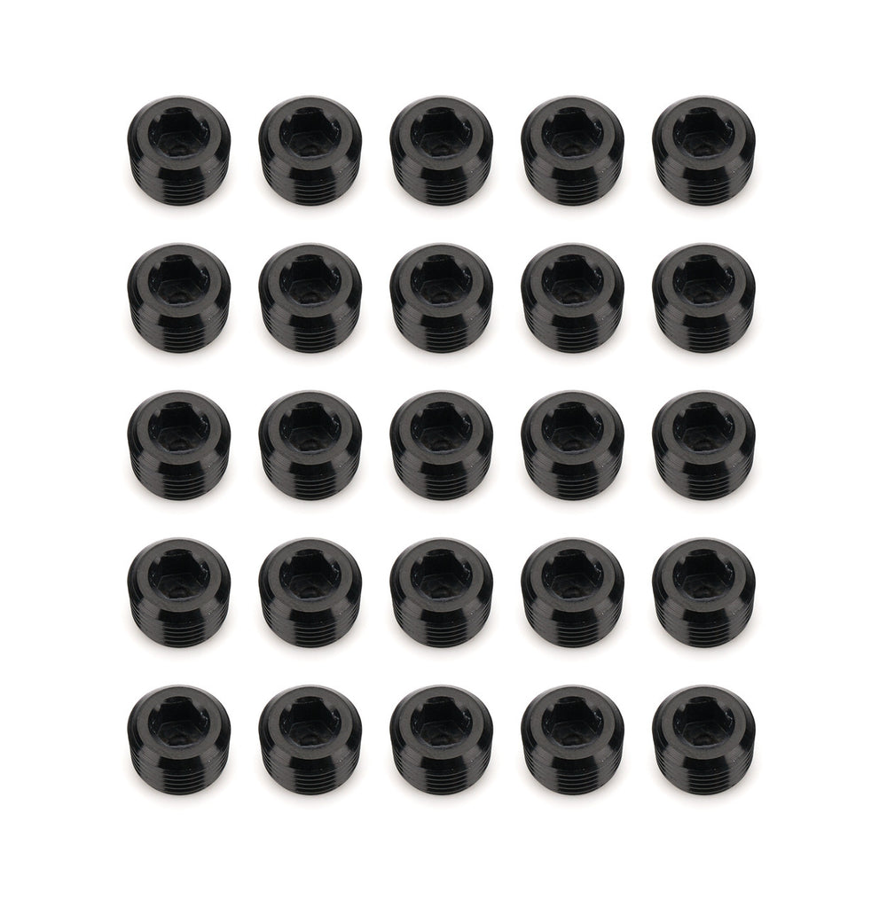 NPT SOCKET HEAD PIPE PLUG KIT 02 04 06 08 BLACKEACH 2PCS
