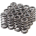 Valve Spring